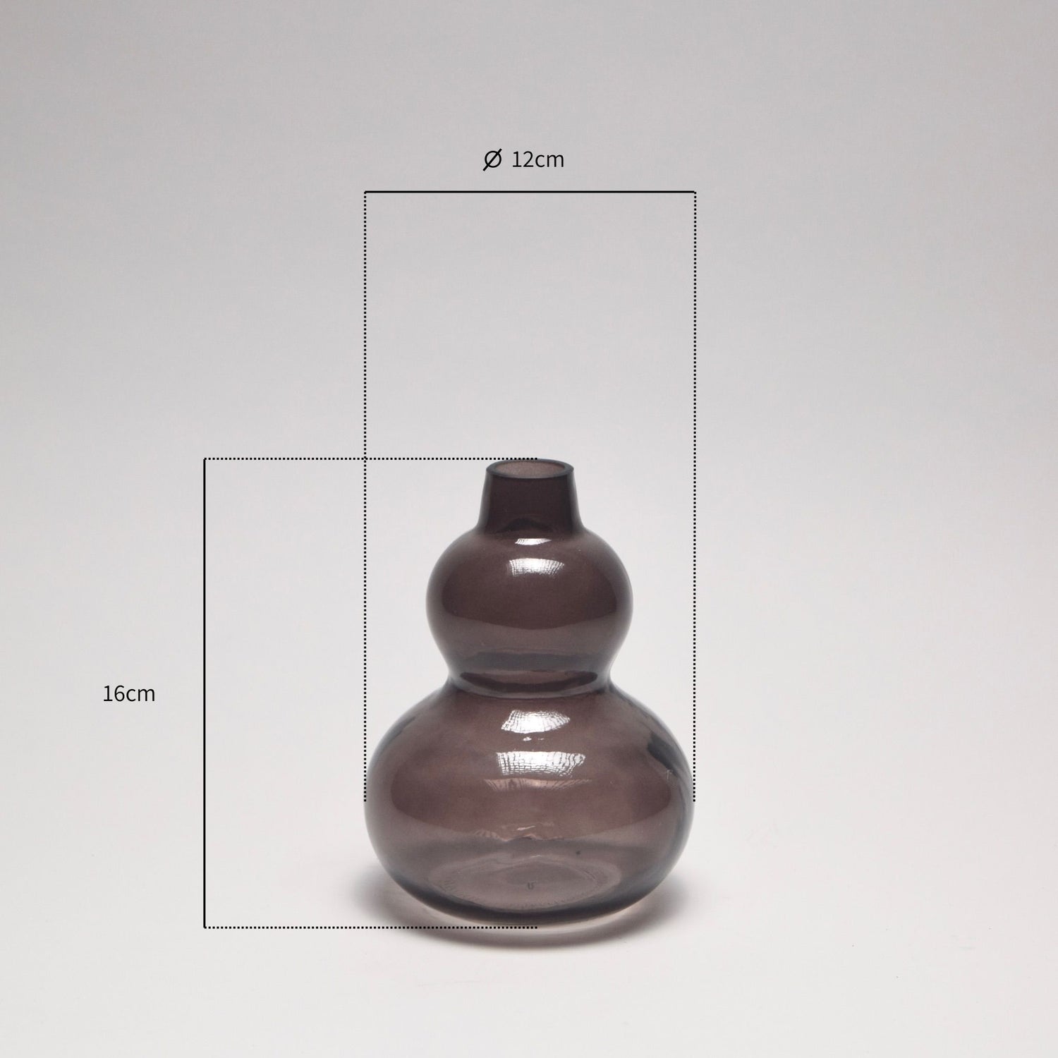 Glass curved vase with dimensions on a grey background